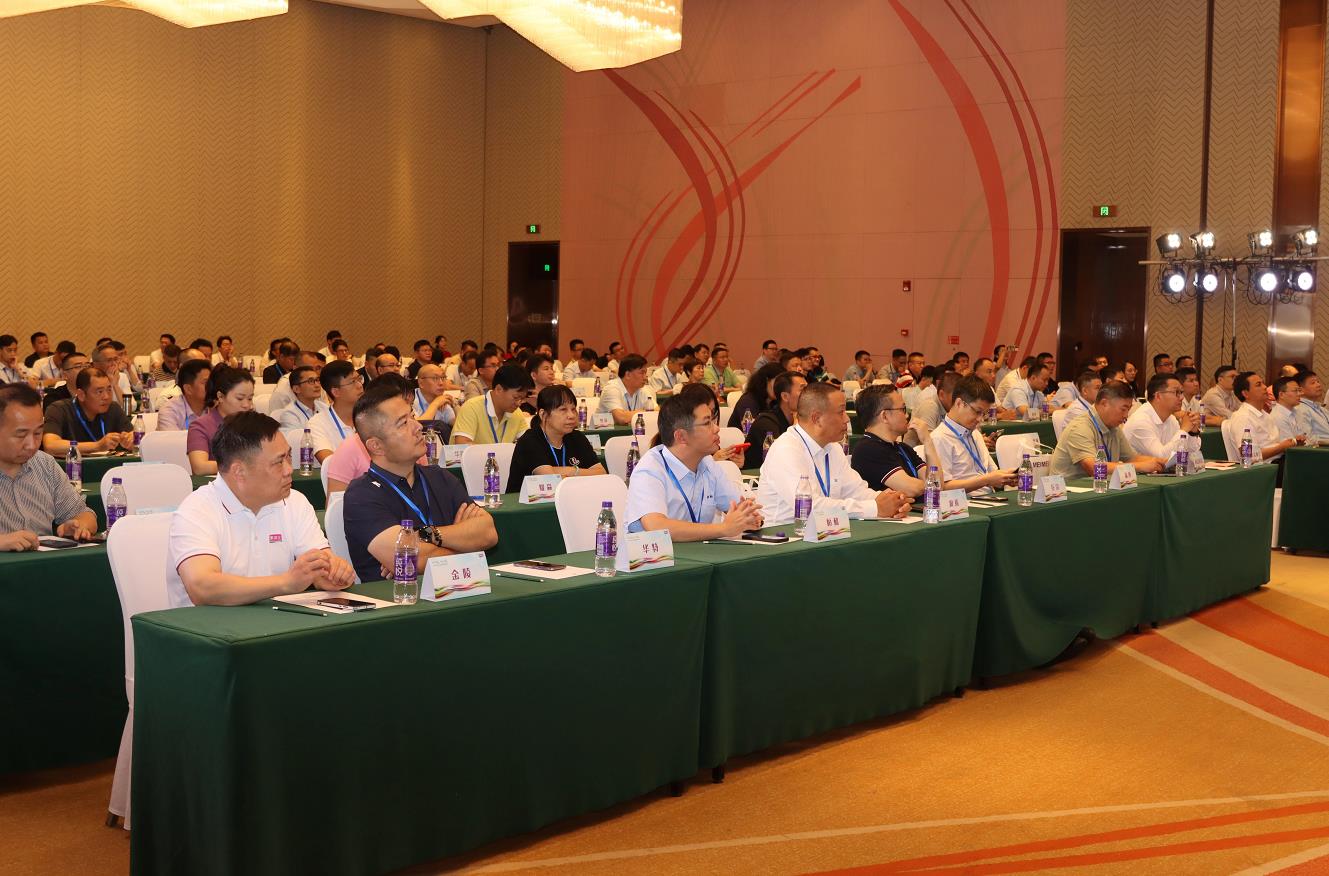 不朽情缘_首页官网入口